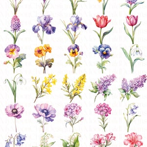 Watercolor Spring Flower Clipart Wildflower Spring Flowers PNG Watercolor Flower Bouquet Clipart Floral Spring PNG Watercolor Flower Clipart

This is a Digital Product that includes a bundle of Watercolor Spring Flower & Wildflower Clipart designs.