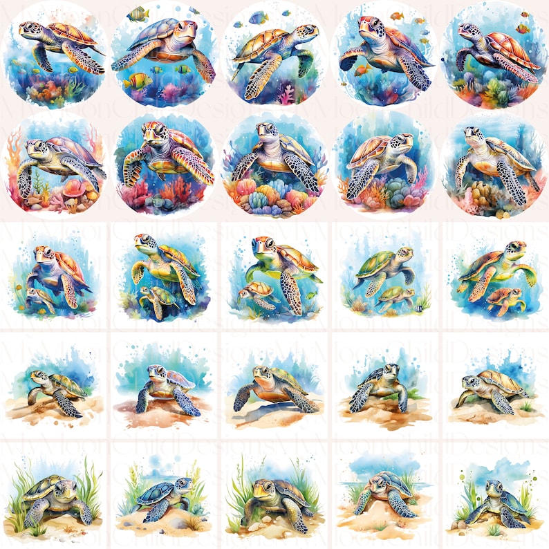 Watercolor Sea Turtle Clipart Floral Sea Turtle PNG Sea Clipart Ocean Animal PNG Tortoise Clipart Ocean Turtle PNG Watercolor Sea Turtle png

This is a Digital Product that includes a bundle of 50 Watercolor Sea Turtle Clipart designs.