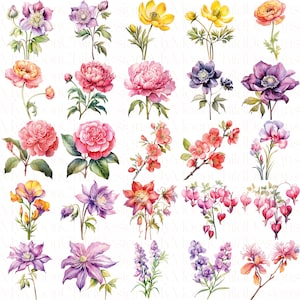 Watercolor Spring Flower Clipart Wildflower Spring Flowers PNG Watercolor Flower Bouquet Clipart Floral Spring PNG Watercolor Flower Clipart

This is a Digital Product that includes a bundle of Watercolor Spring Flower & Wildflower Clipart designs.