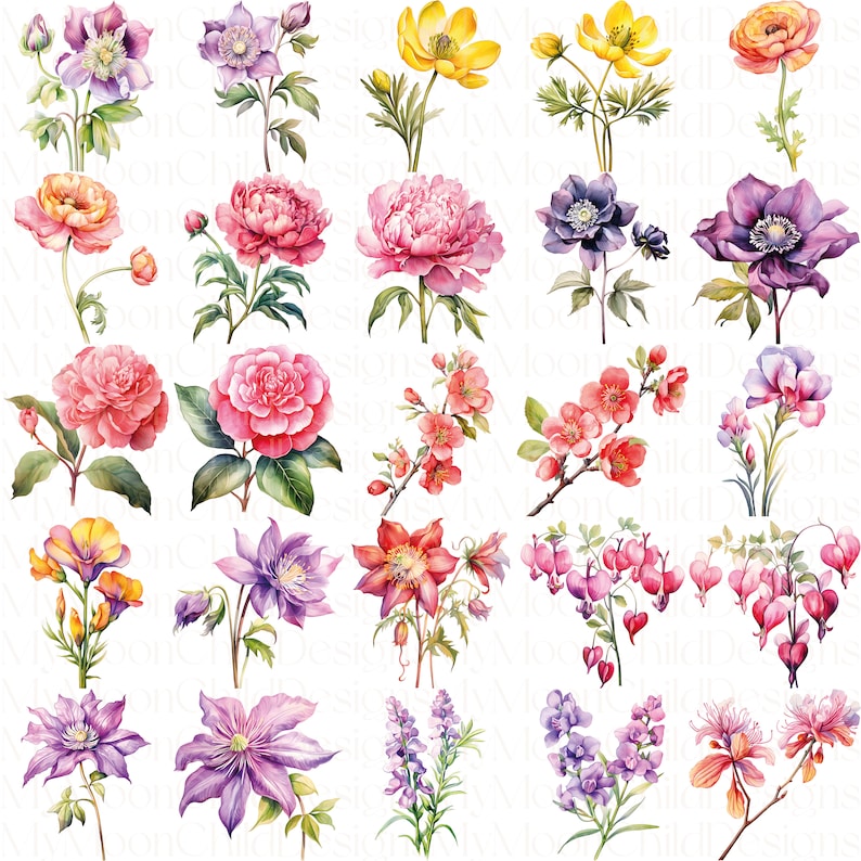 Watercolor Spring Flower Clipart Wildflower Spring Flowers PNG Watercolor Flower Bouquet Clipart Floral Spring PNG Watercolor Flower Clipart

This is a Digital Product that includes a bundle of Watercolor Spring Flower & Wildflower Clipart designs.