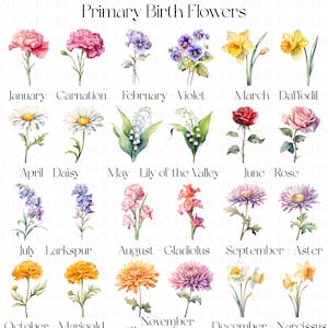 Birth Month Flower SVG Watercolor Birth Month Flower Clipart Birth Month Flower PNG Birth Flower SVG Bundle Birth Month Flowers Clipart png

This Digital Product includes 48 Birth Month Flower SVG & Watercolor Birth Month Flower Clipart designs.