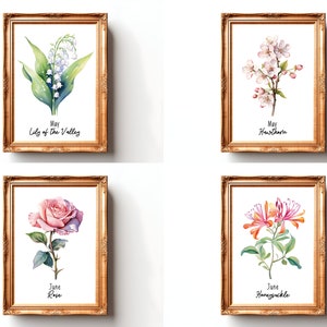 Birth Month Flower Print Watercolor Birth Flower Poster Birth Month Flower Wall Art Birth Flower Bouquet Print Birth Month Flower SVG Flower

This Digital Product includes a bundle of 24 Watercolor Birth Month Flower Print wall art printable designs.