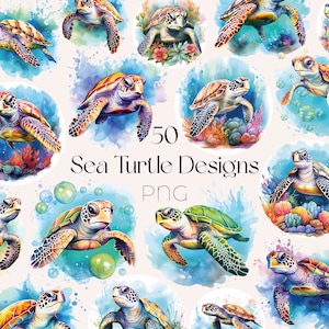 Tortuga marina en acuarela, clipart, tortuga marina floral, clipart, mar, animal marino, clipart, tortuga marina, clipart, tortuga marina, clipart, acuarela ...