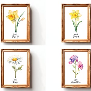 Birth Month Flower Print Watercolor Birth Flower Poster Birth Month Flower Wall Art Birth Flower Bouquet Print Birth Month Flower SVG Flower

This Digital Product includes a bundle of 24 Watercolor Birth Month Flower Print wall art printable designs.