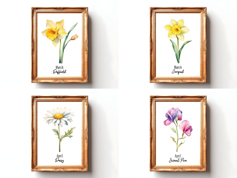 Birth Month Flower Print Watercolor Birth Flower Poster Birth Month Flower Wall Art Birth Flower Bouquet Print Birth Month Flower SVG Flower

This Digital Product includes a bundle of 24 Watercolor Birth Month Flower Print wall art printable designs.