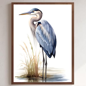 Impresión de garza azul en acuarela Arte mural de aves Arte mural de garza Wabi Sabi Arte Japandi Póster de aves Impresión de garza azul en acuarela Clipart de garza azul Aves