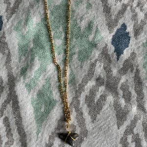 Sunrise Shark Tooth Necklace