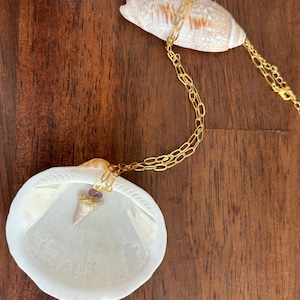Paperclip Chain Shark Tooth Necklace