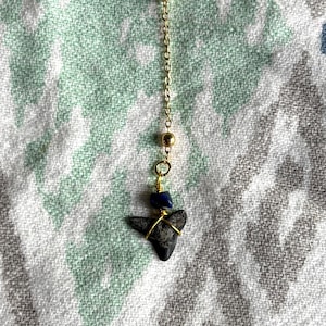 Blue Lariat Shark Tooth Necklace
