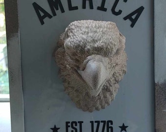 Cadre 3D American Eagle
