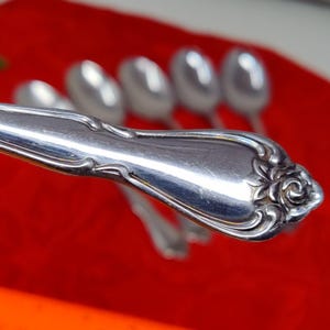6X Oneida ARBOR ROSE Stainless TRUE Rose 1881 Rogers Ltd Table Spoons Flatware