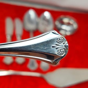 7X Serv ROYAL DAHLIA Dalia 18/10 Spain Stainless Serving Spoons Glossy Beautiful