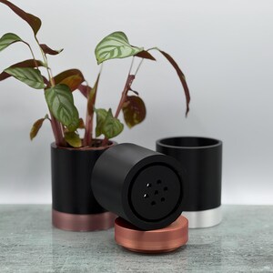 May include: A black and copper-coloured plant pot with a small houseplant. A black cylindrical object with a copper-coloured base is in front of the pot. Another black pot with a silver base is behind it. The plant has green and burgundy leaves.
