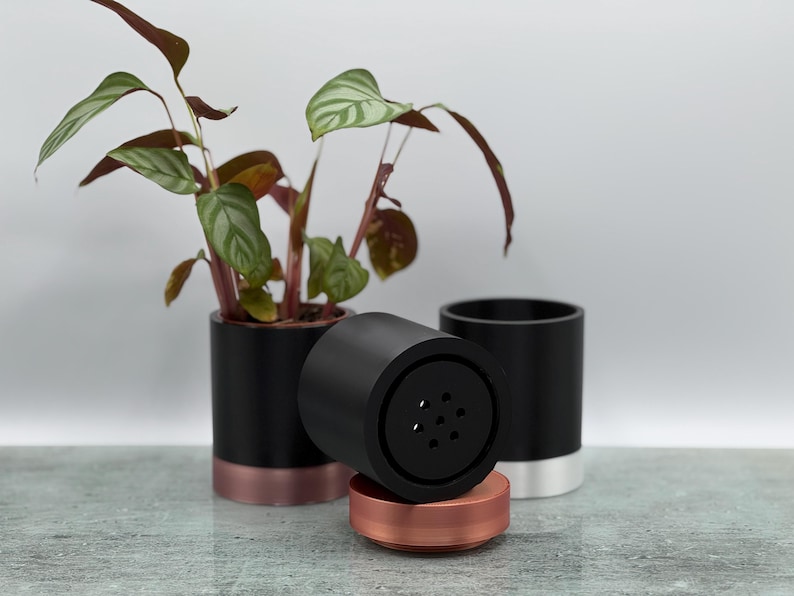May include: A black and copper-coloured plant pot with a small houseplant. A black cylindrical object with a copper-coloured base is in front of the pot. Another black pot with a silver base is behind it. The plant has green and burgundy leaves.