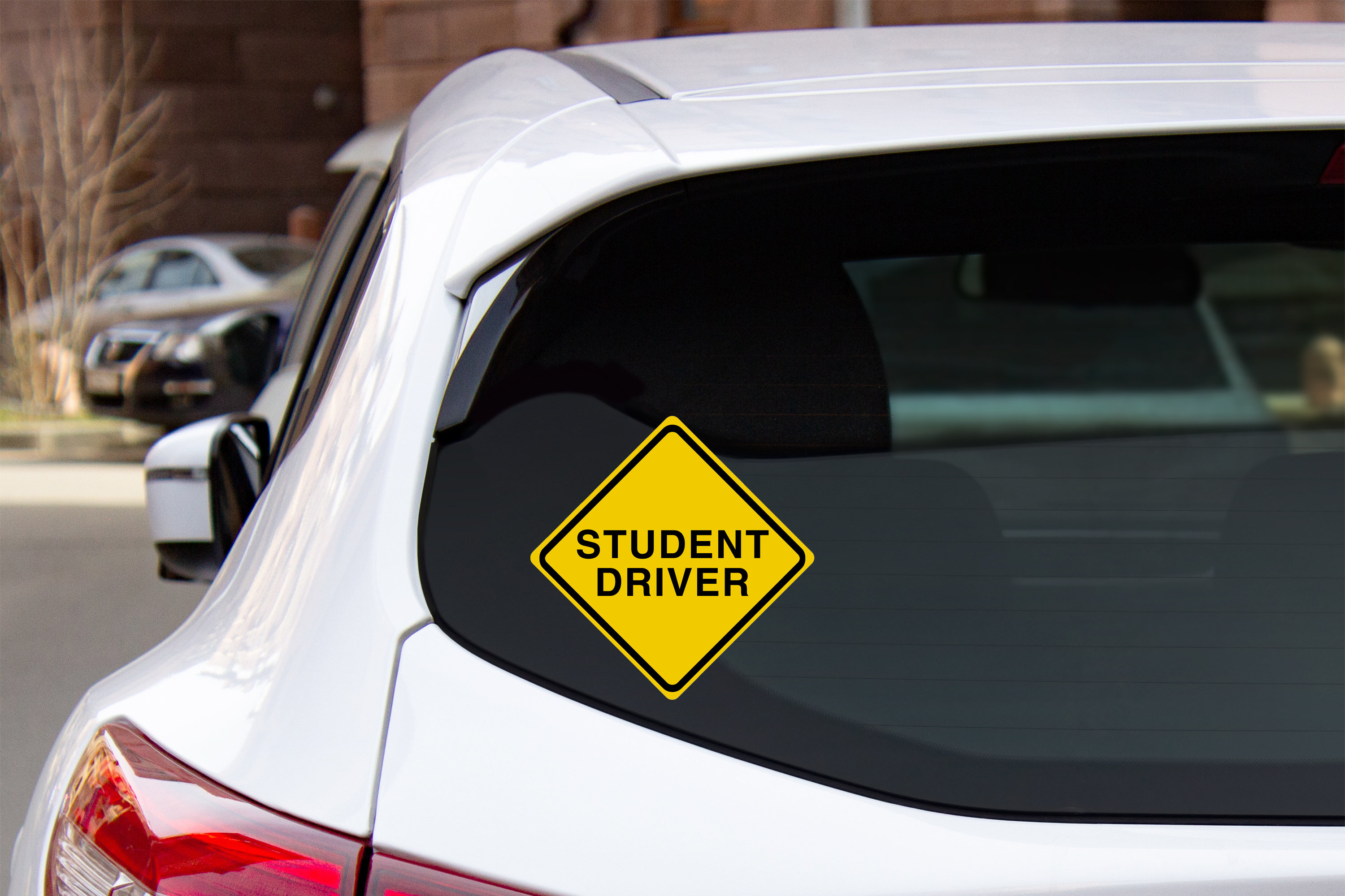 Student Driver Key Tag Student Driver Vinyl Car Decal, Alert Sign (6 Inch) - Etsy