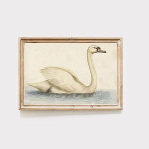 Vintage swan art print, vintage nursery decor, coquette room decor, swan illustration, balletcore, nutcracker, digital download
