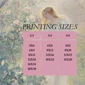 May include: A chart with printing sizes for images. The chart is divided into three columns labeled 2:3, 3:4, and 4:5. Each column lists a series of image dimensions in inches, such as 4x6, 6x9, 8x12, 12x18, 16x24, and 20x30.