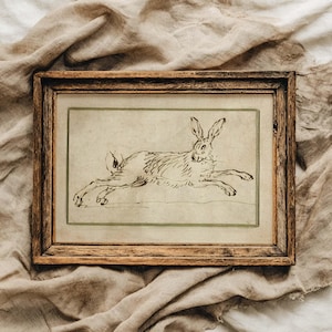 Puede incluir: Una impresión vintage enmarcada con un boceto de una liebre corriendo. La obra de arte está realizada en tinta negra con líneas finas sobre un fondo crema. El marco es de madera envejecida, lo que le da un toque rústico.
