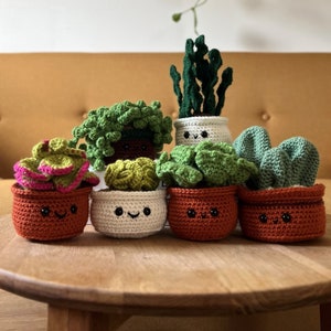 Crocheted cacti and succulents, crocheted cactus and succulents