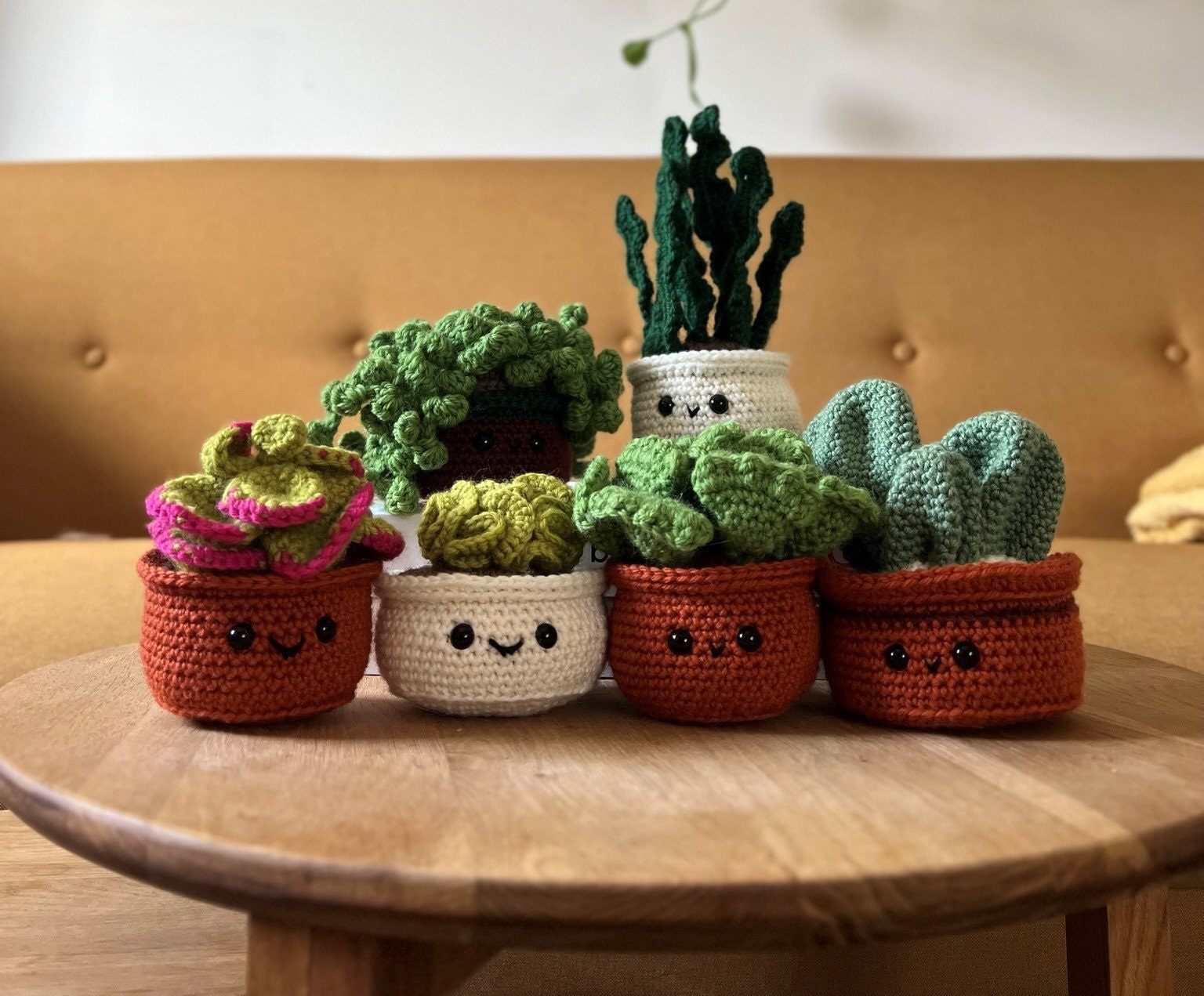 Cactus plant plush -  France