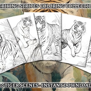 20 Magnificent Tigers Coloring Book - Coloring Pages, Grayscale Coloring, Instant Download, High Resolution, Printable PDF File
