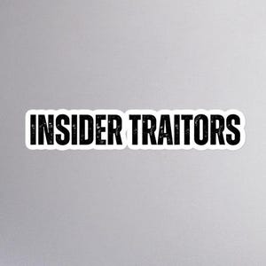 Insider Traitors Sticker - Anti Trump Sticker, Anti Elon Sticker, Anti Trump Gift, Resist and Persist, Anti Elon Musk Political