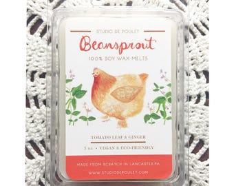 Beansprout || Soy Wax Melts