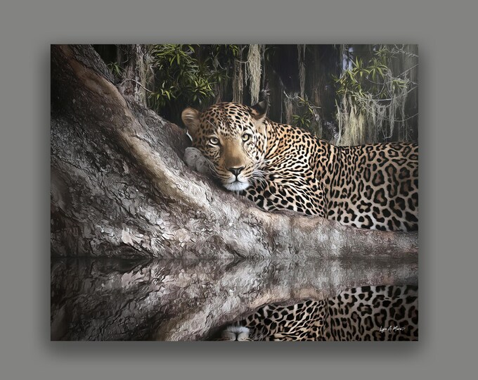 Leopard Fine Art Wildlife Print By Artist Lynn A. Marie
