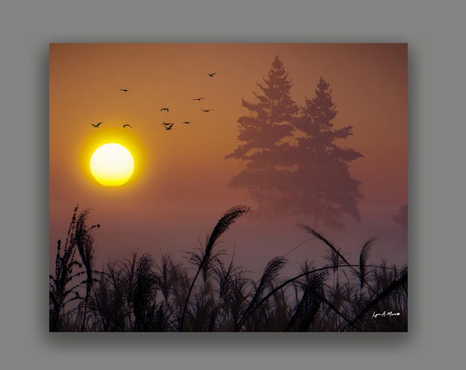 Sunset Fine Art Landscape Print by Artist Lynn A. Marie