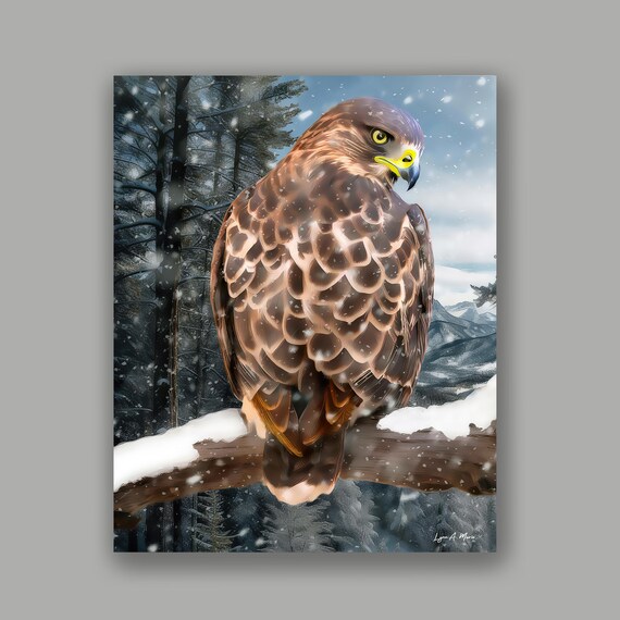 Red Tail Hawk Giclée Print: Fine Art, Archival Quality By Lynn A. Marie