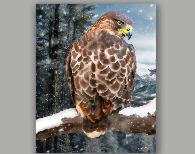 Red Tail Hawk Fine Art Wildlife By Artist Lynn A. Marie