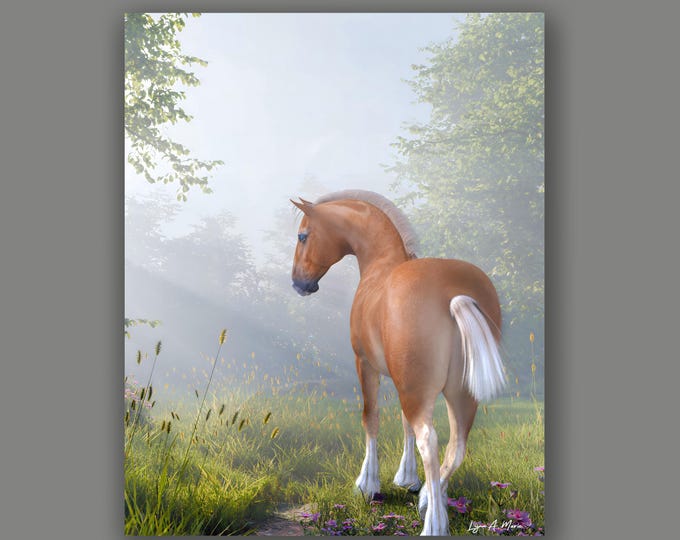 Belgian Draft Horse Fine Art Print By Artist Lynn A. Marie