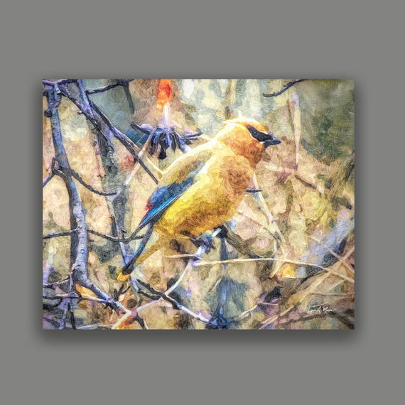 Abstract Cedar-waxwing fine art print by Lynn A. Marie, Wildlife Bird Art
