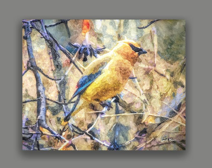 Abstract Cedar-waxwing fine art print by Lynn A. Marie, Wildlife Bird Art