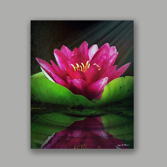 Lotus Flower Vertical Art Print: Archival Giclee, Lynn A. Marie