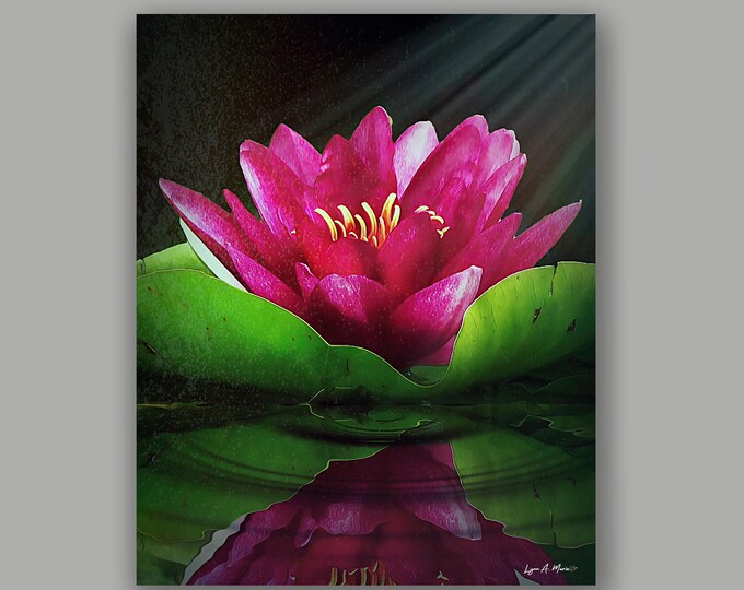 Lotus Flower Fine Art Print By Artist Lynn A. Marie