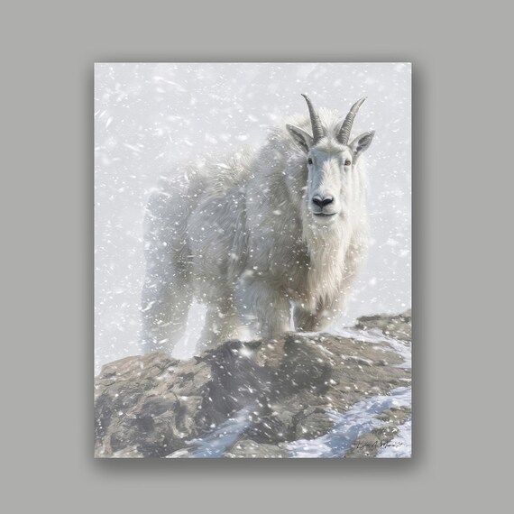 Mountain Goat Giclée Art Print: Archival Quality, By Artist Lynn A. Marie