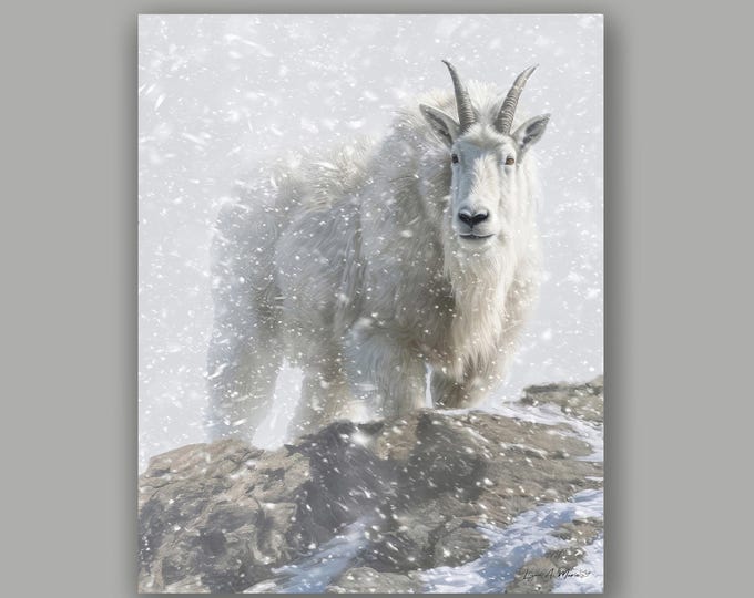 Mountain Goat Fine Art Wildlife Print By Artist Lynn A. Marie