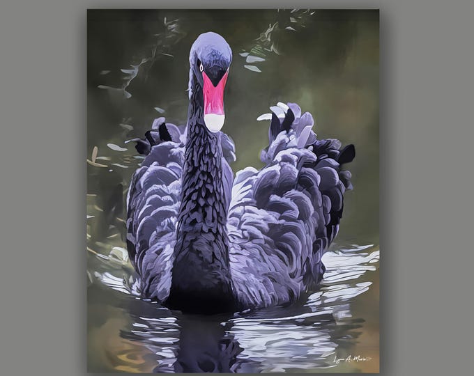 Black Swan Fine Art Wildlife Print By Artist Lynn A. Marie