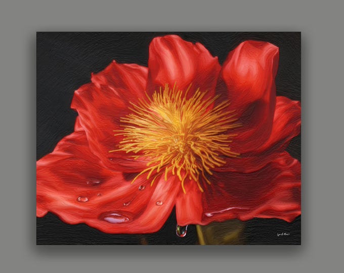 Red Flower Fine Art Print By Artist Lynn A. Marie