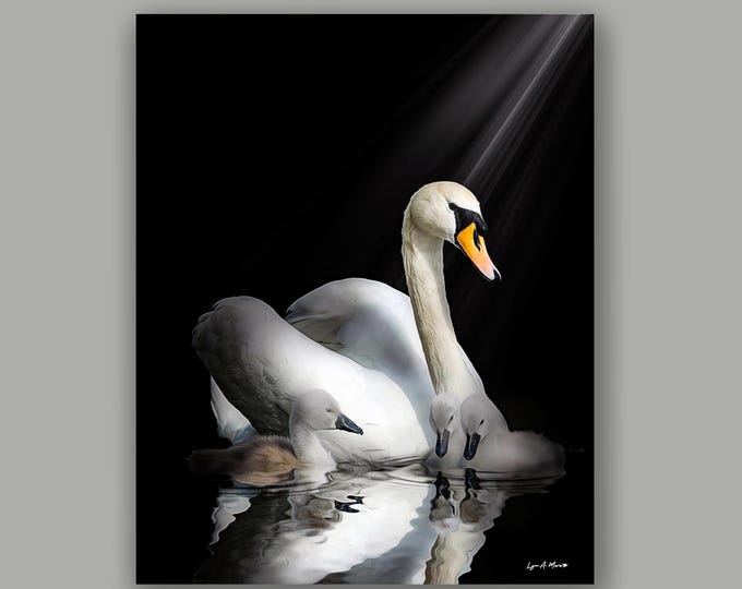 Mute Swan Fine Art Wildlife Print By Artist Lynn A. Marie