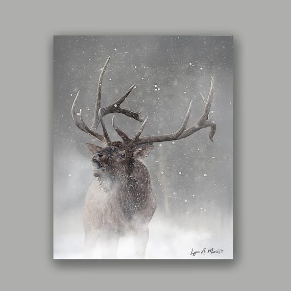 Elk Wildlife Fine Art Print by Artist Lynn A. Marie