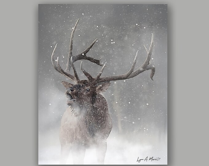 Elk Wildlife Fine Art Print by Artist Lynn A. Marie