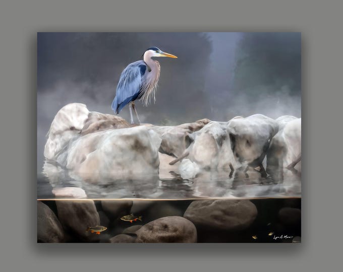 Blue Heron Fine Art Print By Artist Lynn A. Marie