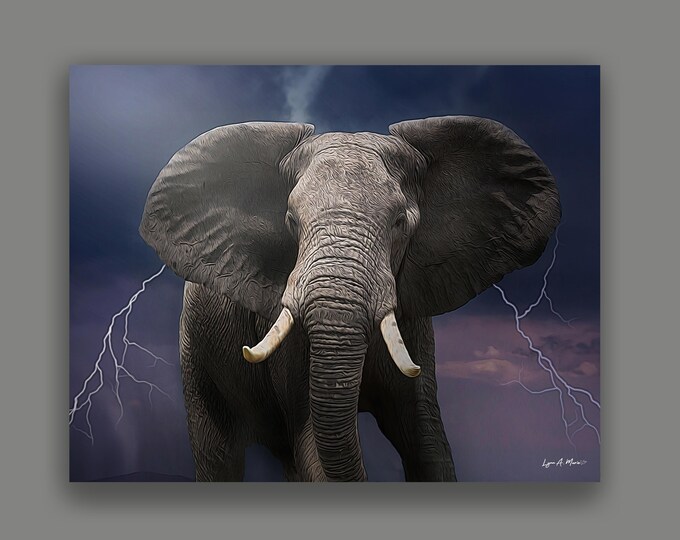 African Elephant Fine Art Print By Artist Lynn A. Marie