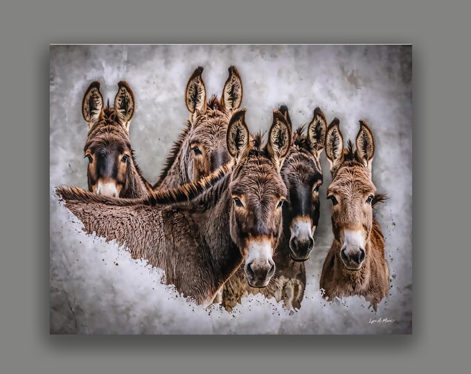 Donkey Burro Equine Fine Art Print By Lynn A. Marie