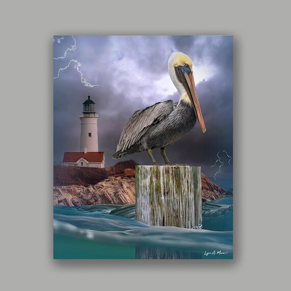 Brown Pelican Fine Art Print: Coastal Bird by artist Lynn A. Marie