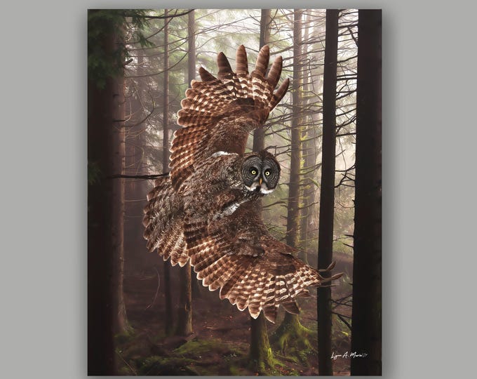 Great Gray Owl Fine Art Print By Artist Lynn A. Marie