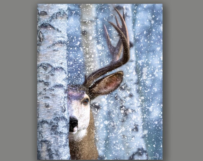 Mule Deer Fine Art Wildlife Print By Artist Lynn A. Marie