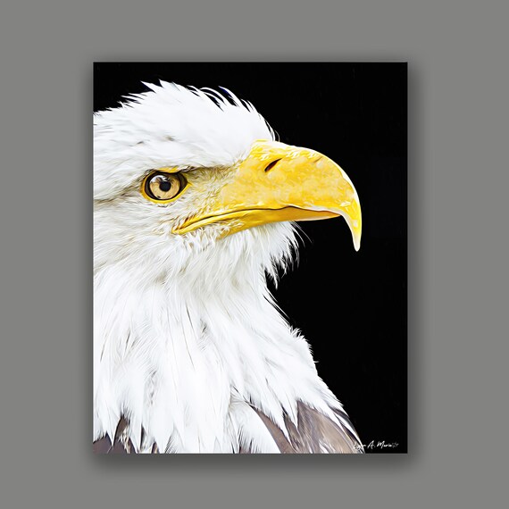 Bald Eagle Art Print:  Archival Quality Giclée Print, Wildlife FineArt by Lynn A. Marie